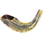 Biblical Trumpet - Natural Ram's Horn Shofar - side view - Size: 10"