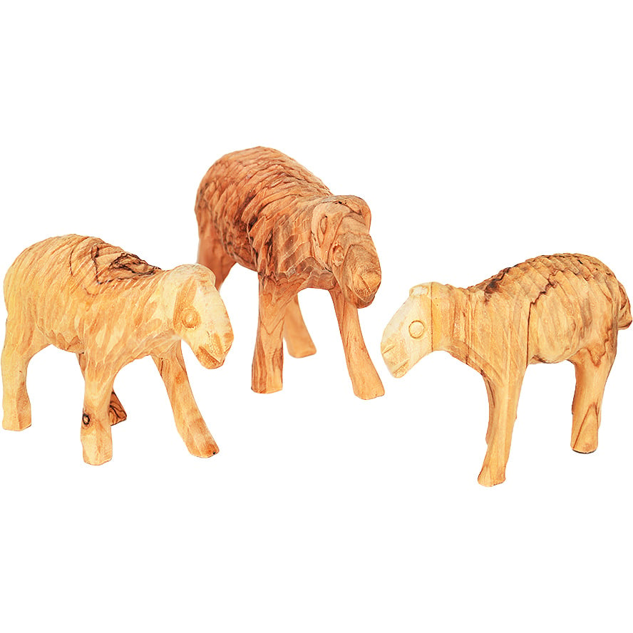 Set of 3 Sheep Made from Olive Wood – Hand Carved in Bethlehem – (side view)