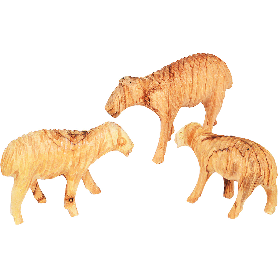 Set of 3 Sheep Made from Olive Wood - Hand Carved in Bethlehem
