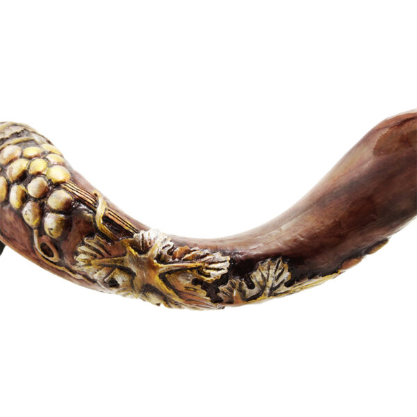 Hand Carved 3D "Grapevine" Yemenite Shofar by Andrey Sofin - close-up
