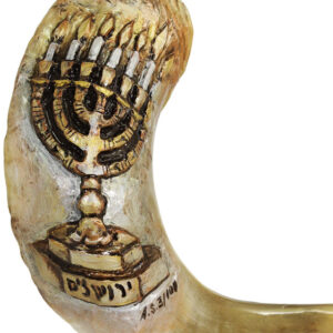 Engraved 3D Ram's Horn "7 Branch Menorah" Shofar by Andrey Sofin