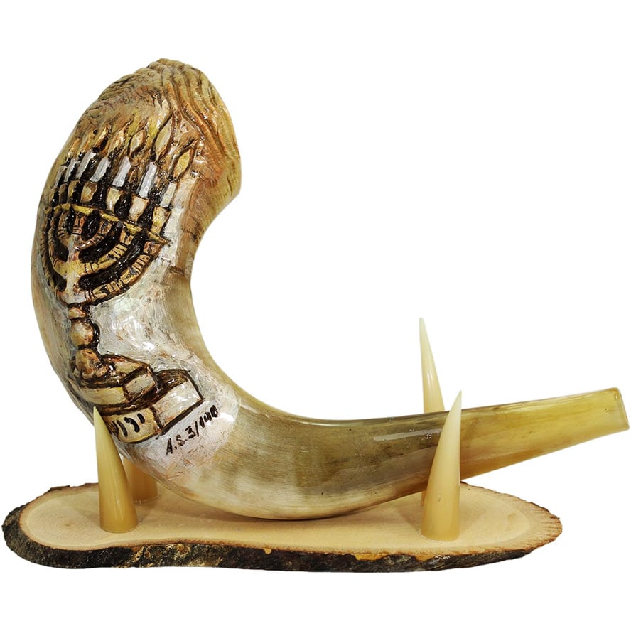 Engraved 3D Ram’s Horn “7 Branch Menorah” Shofar by Andrey Sofin