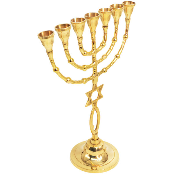 Messianic 'Grafted in' Polished Brass Menorah from Jerusalem - 11.5" (angle view)
