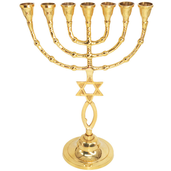 Messianic 'Grafted in' Polished Brass Menorah from Jerusalem - 11.5"