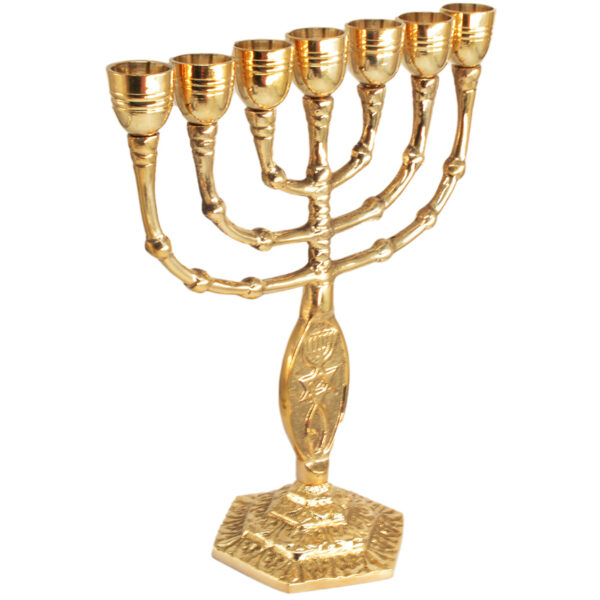Messianic 'Grafted in' Polished Brass Menorah from Jerusalem - 8.5" (angle view)