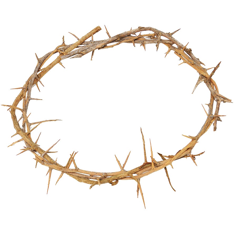 Actual ‘Crown of Thorns’ as Put on Jesus Head – Made in Jerusalem (top view)