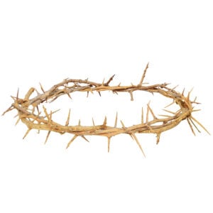 Actual 'Crown of Thorns' as Put on Jesus Head - Made in the Holy Land