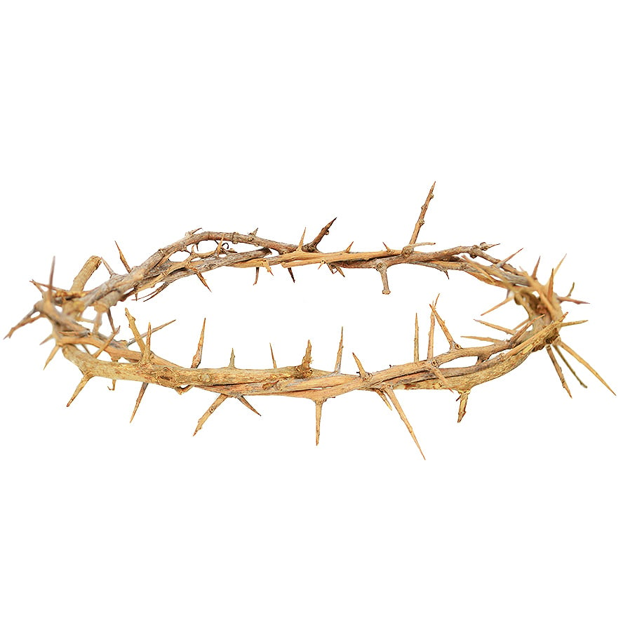 Actual ‘Crown of Thorns’ as Put on Jesus Head – Made in the Holy Land
