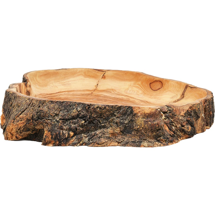 Serving Dish Carved from a Natural Olive Wood Branch - Made in Israel - 10"