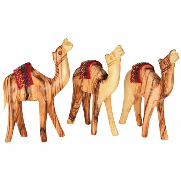 3 olive wood camels for nativity set