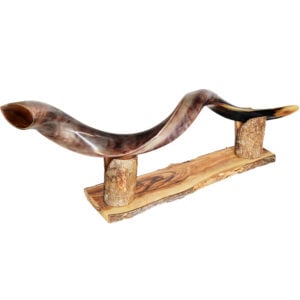 Olive Wood Shofar Stand for Yemenite / Kudu Horn - Made in Israel (with shofar)