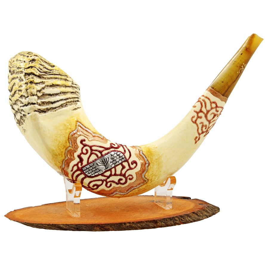 Quality 'Menorah' Ram's Horn Shofar from Jerusalem