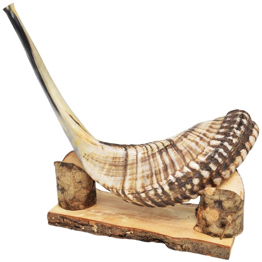 Olive wood shofar stand (optional)