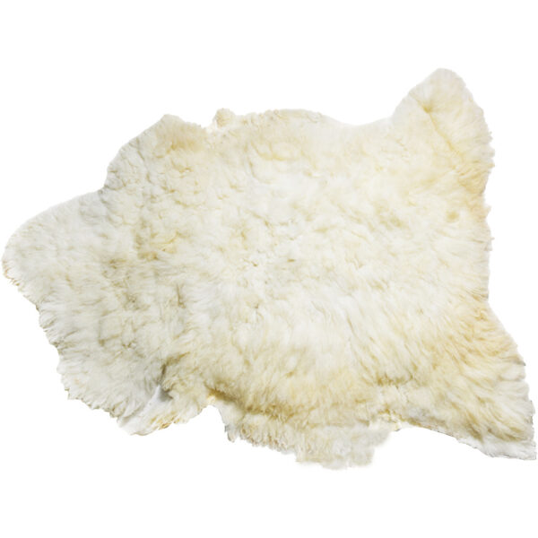 Sheepskin Rug from place of Jesus Birth, Bethlehem (side view)