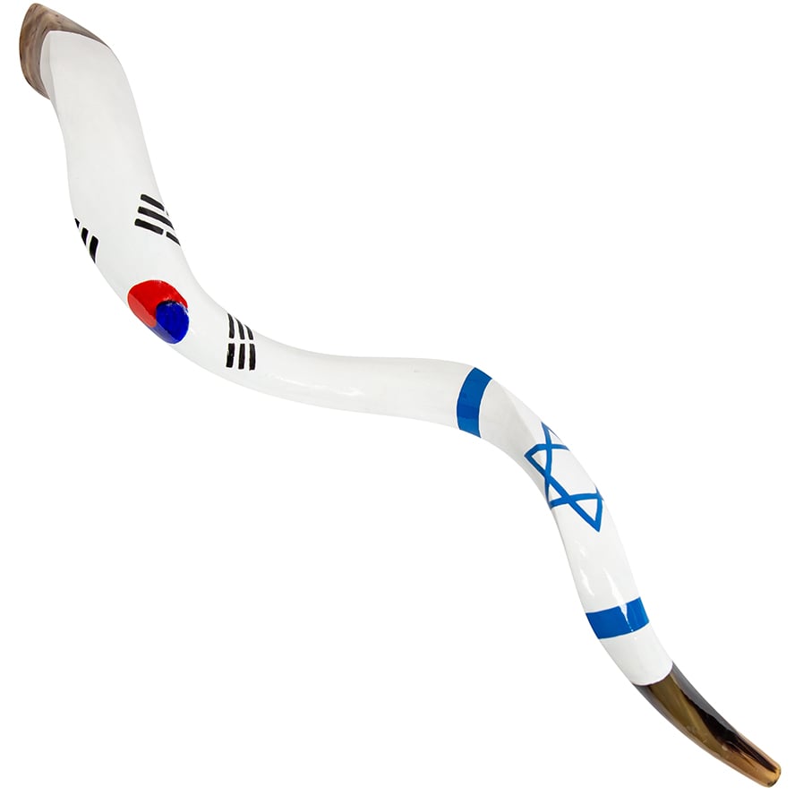 Israel and South Korea United Flags' Large Painted Shofar By Sarit Romano