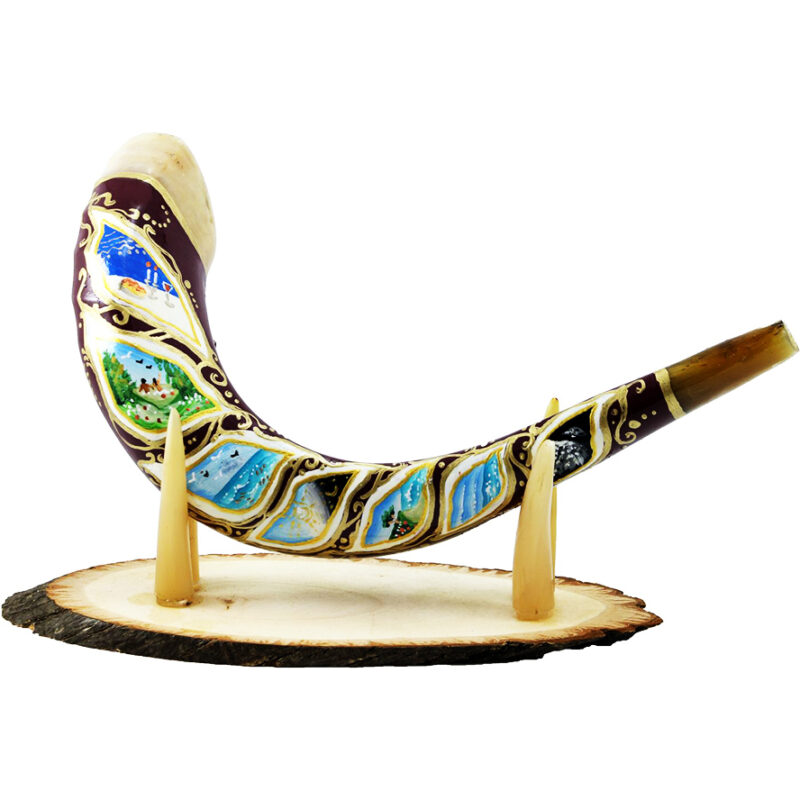 'Six Days of Creation' Decorated Ram's Horn Shofar - Handcrafted in Israel - 15"-17" long