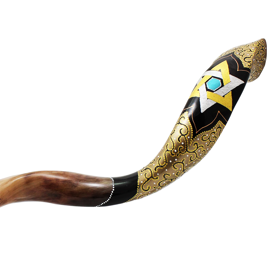 Kudu Horn Musical Instrument | informacionpublica.svet.gob.gt