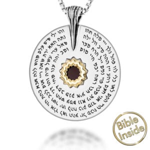 Nano 'Bible Inside' Sterling Silver '72 Names of GOD' in Hebrew Wheel Necklace - detail