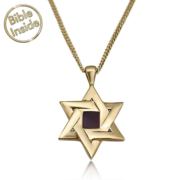 Nano Bible inside a 14k Gold Star of David Necklace - Made in Israel (with chain)