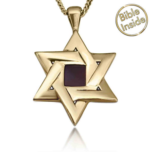 Nano Bible inside a 14k Gold Star of David Necklace - Made in Israel
