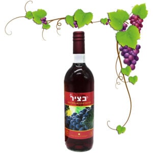 Jerusalem Grape Juice - Made from the Grape Vines around Jerusalem - 750ml