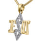 14k Gold 'Jesus in Star of David' with Diamonds Messianic Pendant - Made in Israel