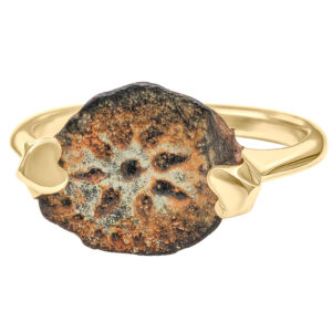 Biblical Coin of "The Widow's Mite" Mounted in a 14k Gold Solitaire Ring (front view)
