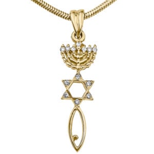 One New Man 'Grafted In' Messianic 14k Gold & Diamonds Pendant - Made in Israel (front view)