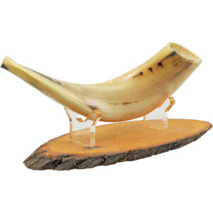 Polished Ram's Shofar - Size: 10"-12" - Handcrafted and Sound Tested in Israel - Optional Olive Wood Stand