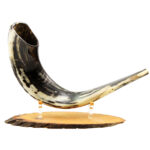 Polished Ram's Horn Shofar - Handcrafted in Israel - Size: 15" - 17" long - Optional Olive Wood Stand