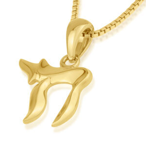 Chai-Life - 14k Gold Necklace - Biblical Jewelry - Made in Israel