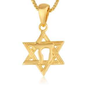 'Chai' in Star of David 14k Gold Necklace - Jewish Jewelry - detail