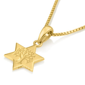 Star of David with Tree of Life - 14k Gold Necklace - Jewish Jewelry - Made in Israel